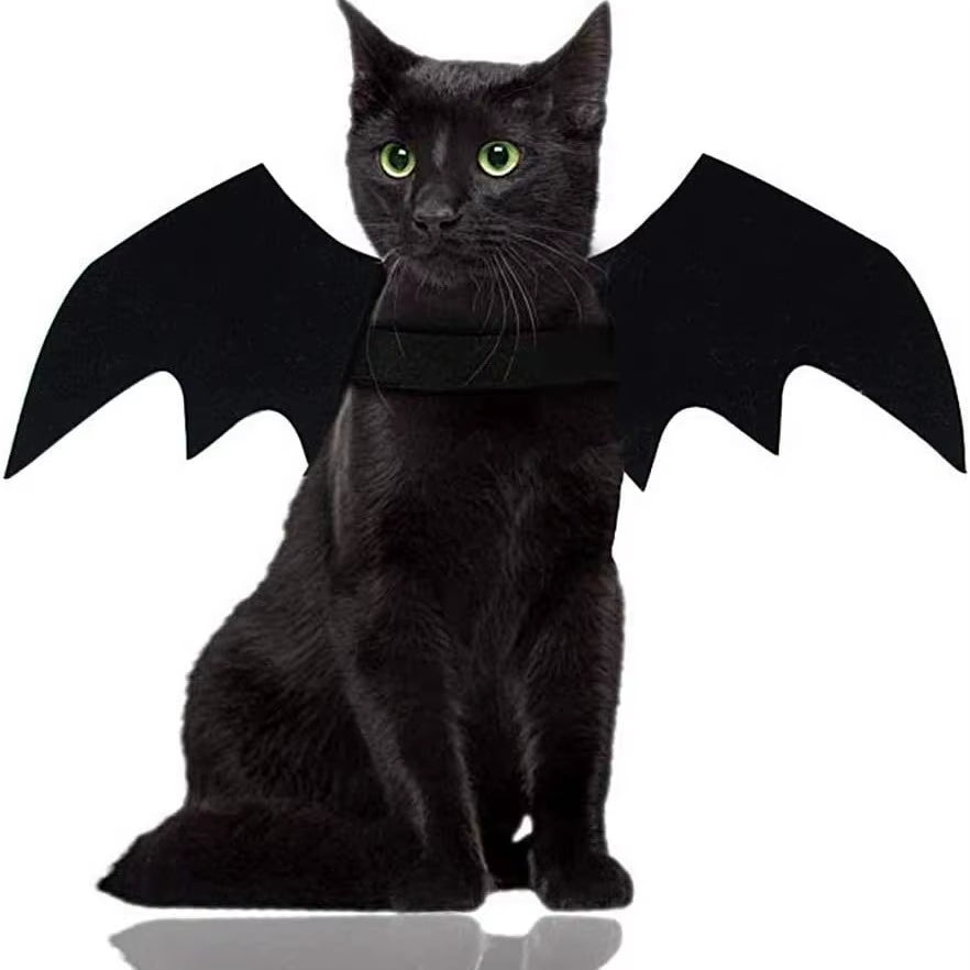 Bat Wings Costume for Dogs & Cats
