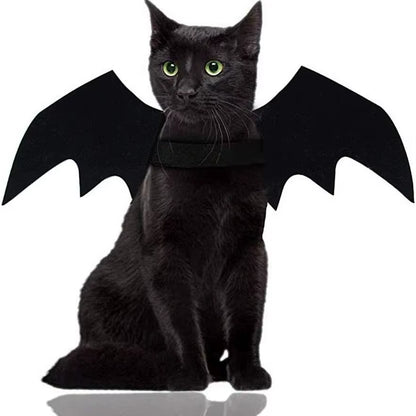 Bat Wings Costume for Dogs & Cats