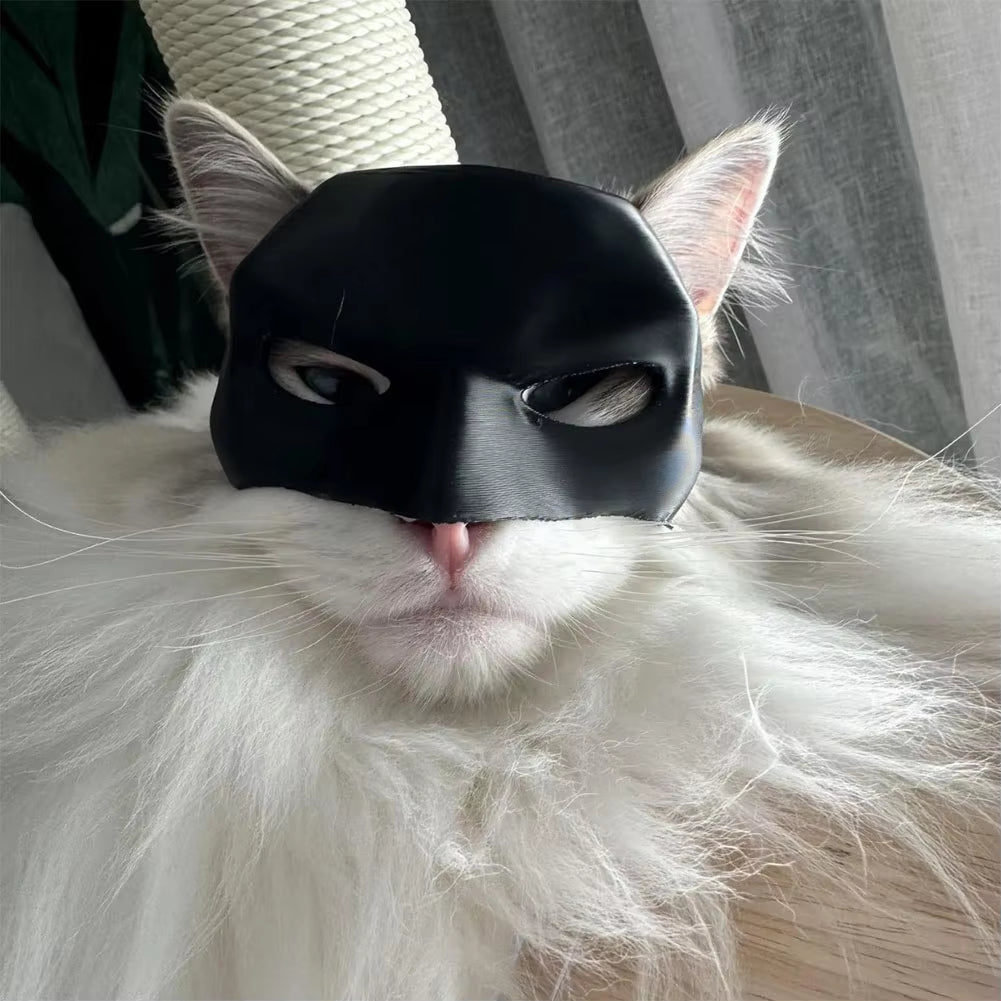 Black Bat Hero Cat Mask - Photo Costume