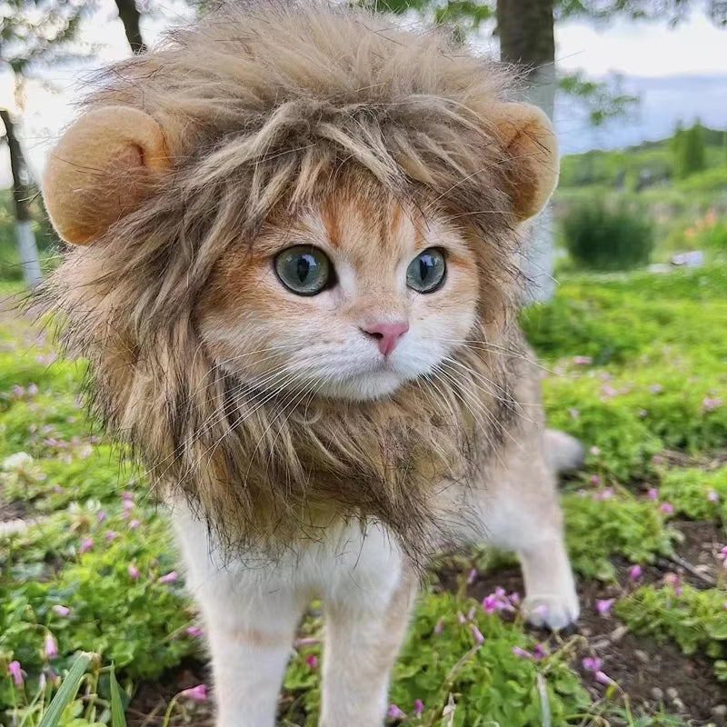Lion Mane Costume for Dogs & Cats