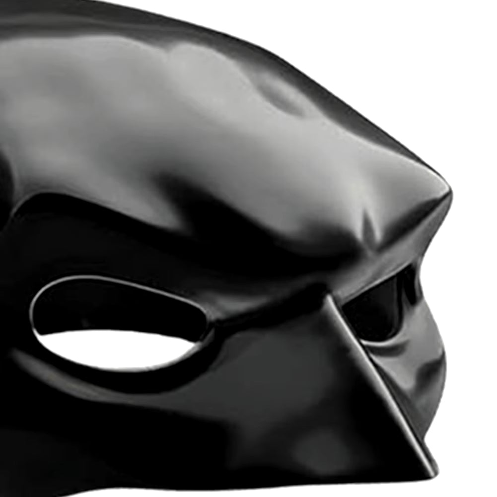 Black Bat Hero Cat Mask - Photo Costume
