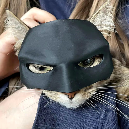 Black Bat Hero Cat Mask - Photo Costume