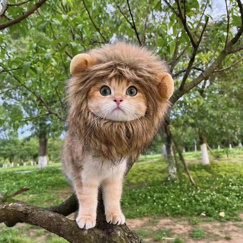 Lion Mane Costume for Dogs & Cats
