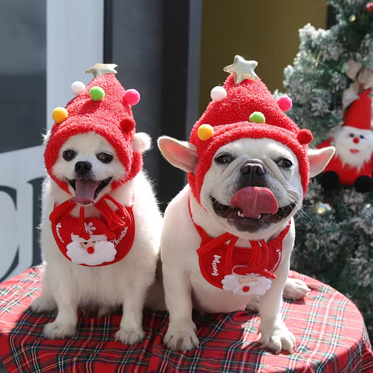 Christmas Hats & Bibs for Dogs & Cats