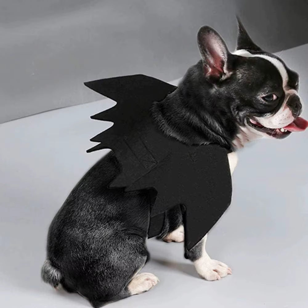 Bat Wings Costume for Dogs & Cats