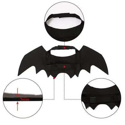 Bat Wings Costume for Dogs & Cats