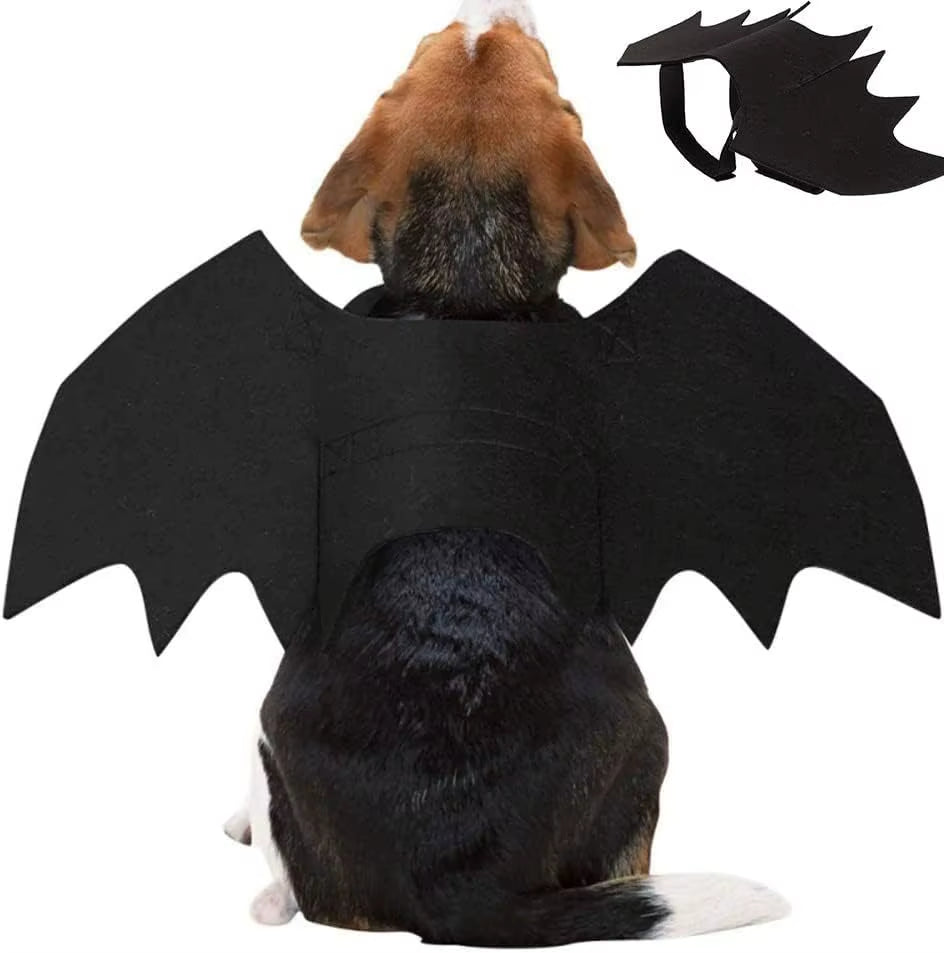 Bat Wings Costume for Dogs & Cats