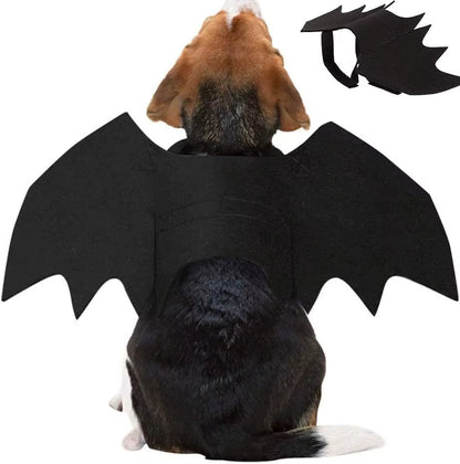 Bat Wings Costume for Dogs & Cats