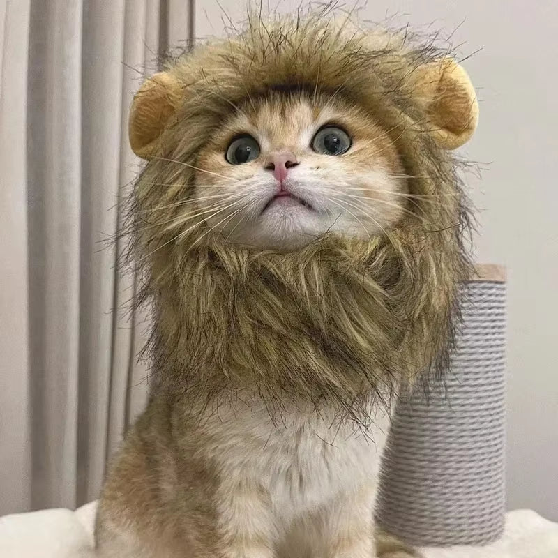 Lion Mane Costume for Dogs & Cats