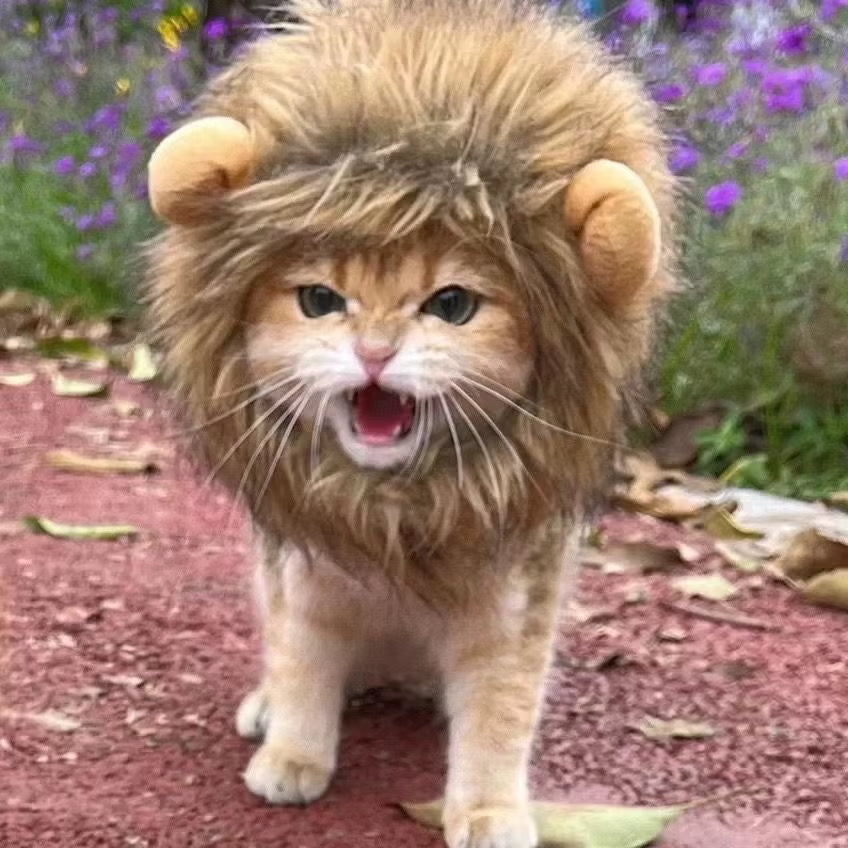 Lion Mane Costume for Dogs & Cats