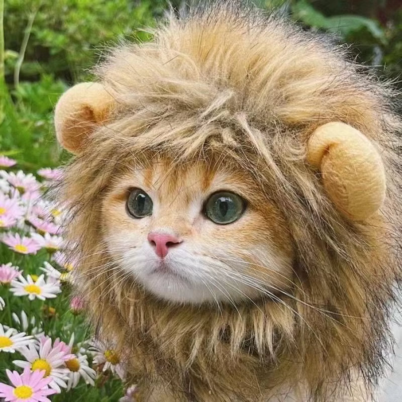 Lion Mane Costume for Dogs & Cats